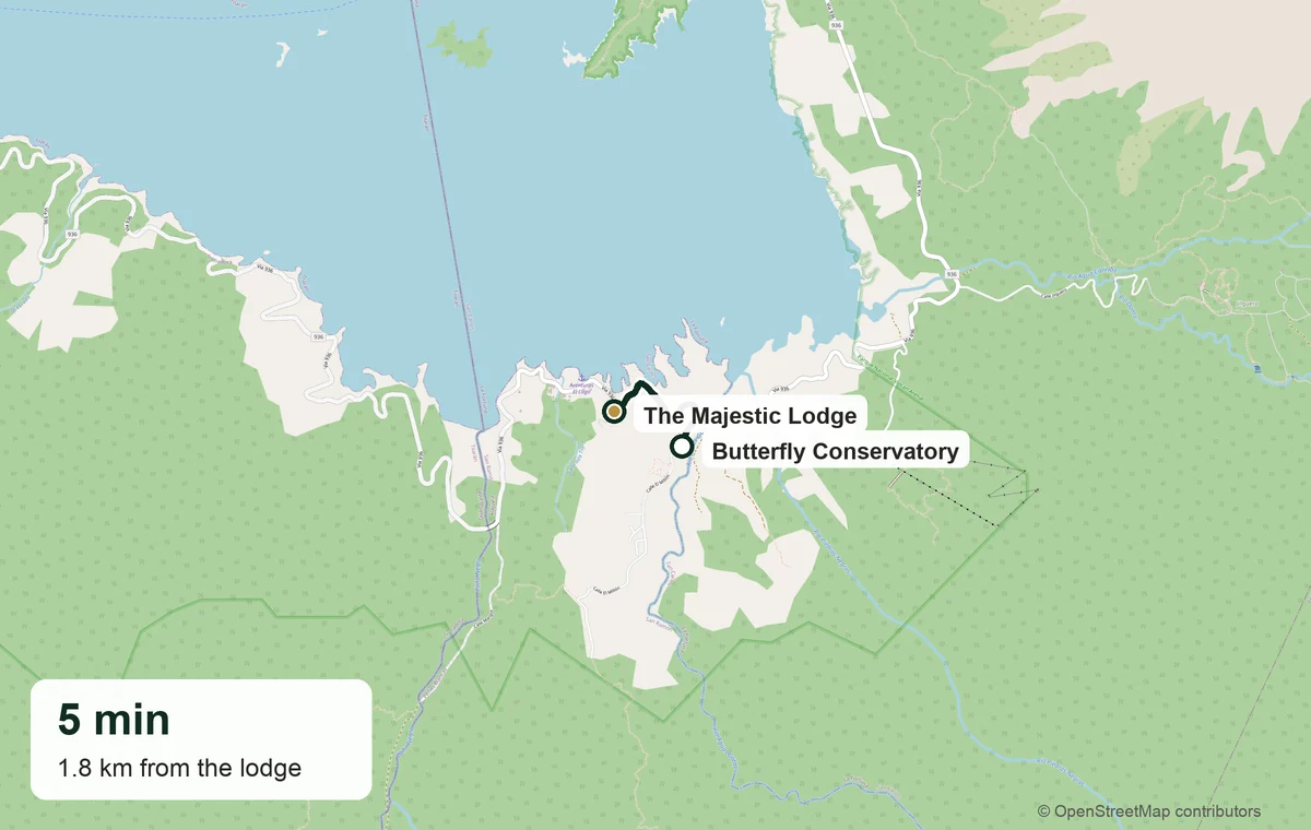 Driving route from The Majestic Lodge to the Butterfly Conservatory in El Castillo — 5 minutes, 1.8 km