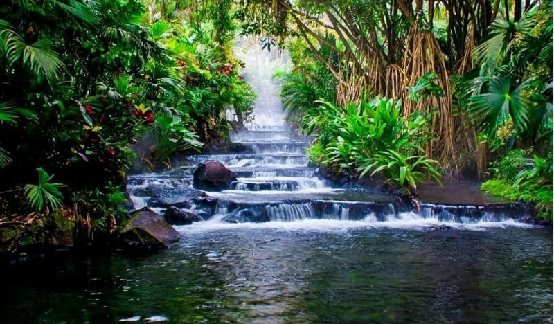 The Free Hot Springs River in La Fortuna
