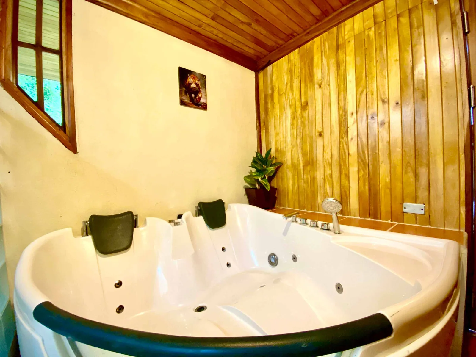 Jaguar Room at Majestic Lodge in La Fortuna Costa Rica 4