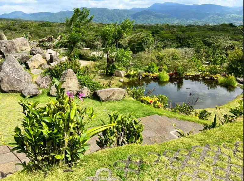 Arenal generates its own cloud — the summit is hidden a good deal of the time.