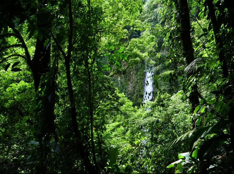 The La Fortuna waterfall drops into a swimmable pool at the base of the canyon.