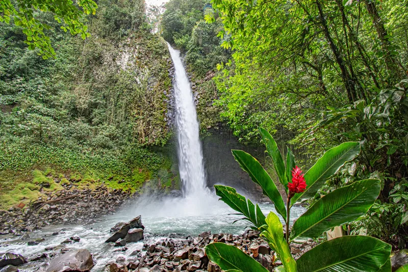 La Fortuna Waterfall (12)